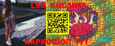 гидропоника Волгодонск