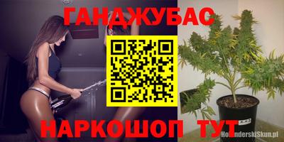 индика Волжский